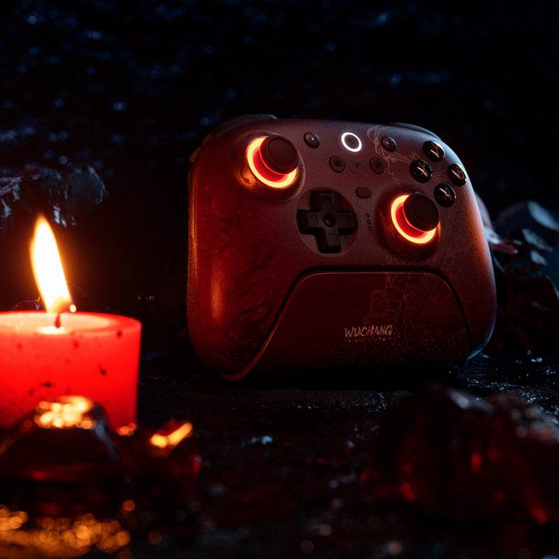 8BitDo Ultimate 2 Wireless Controller - WUCHANG: Fallen Feathers image 6